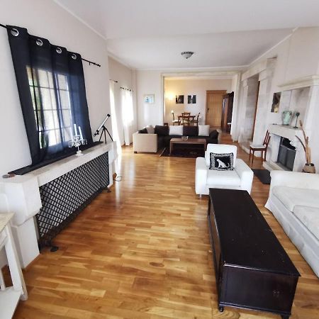 Lux Villa Provence Budva Dış mekan fotoğraf