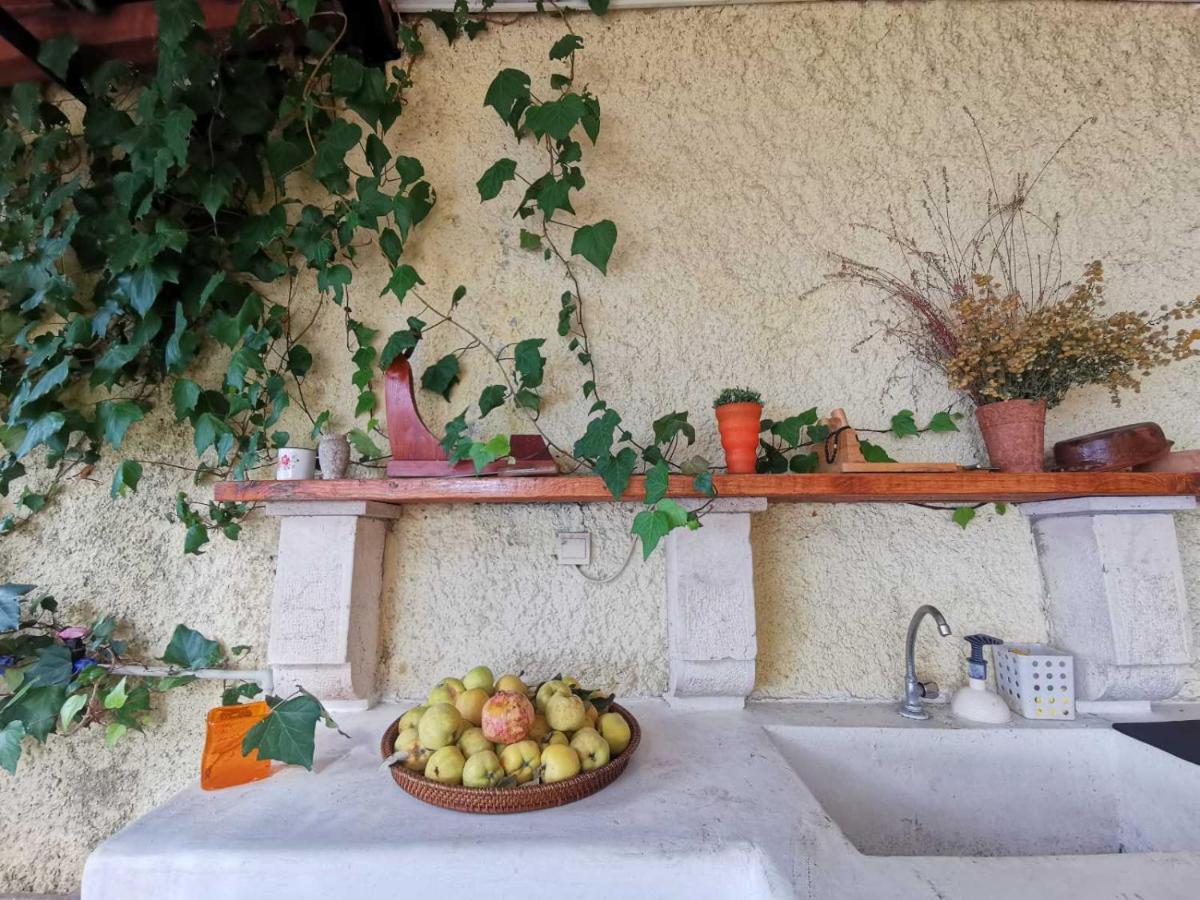 Lux Villa Provence Budva Dış mekan fotoğraf