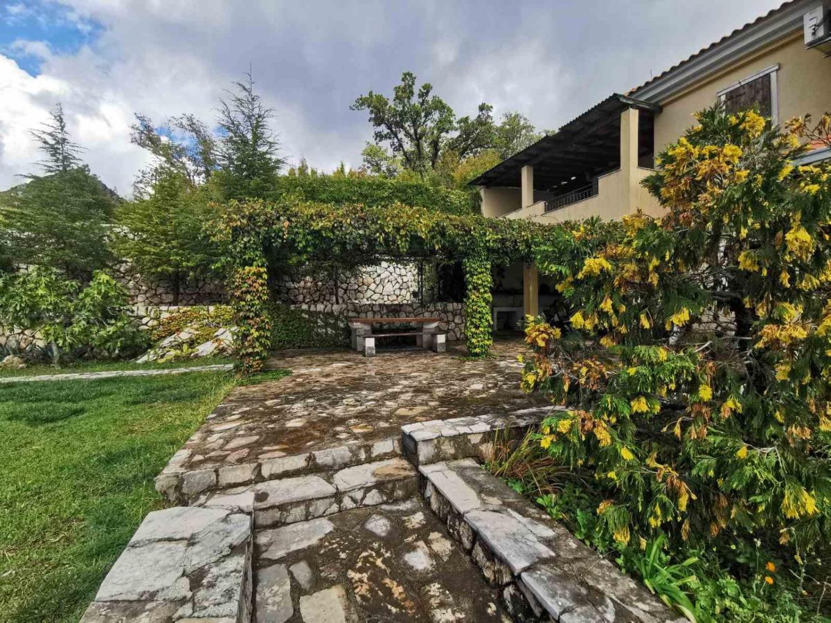 Lux Villa Provence Budva Dış mekan fotoğraf