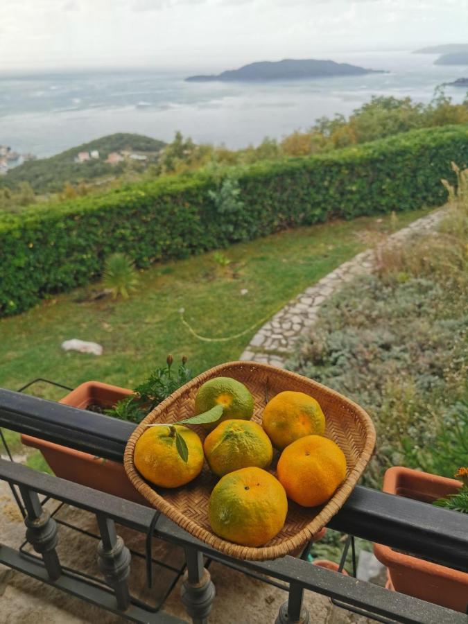 Lux Villa Provence Budva Dış mekan fotoğraf
