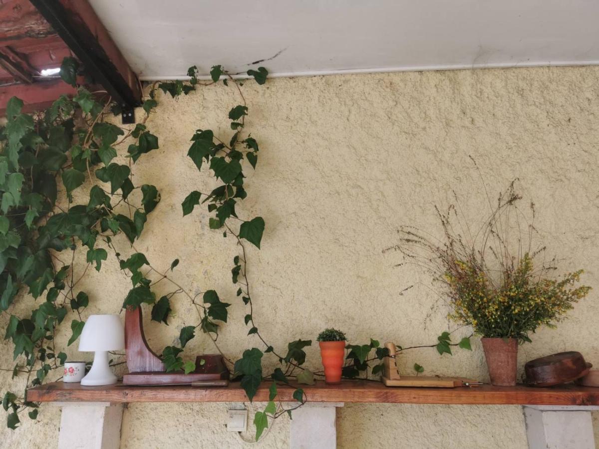 Lux Villa Provence Budva Dış mekan fotoğraf